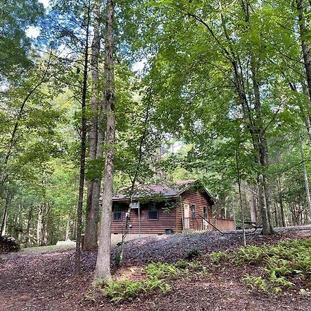 Private Cozy Cabin In The Woods With Great View Мърфи Екстериор снимка
