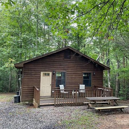 Private Cozy Cabin In The Woods With Great View Мърфи Екстериор снимка