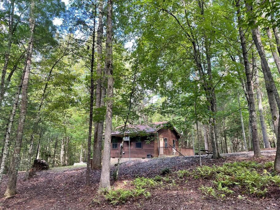 Private Cozy Cabin In The Woods With Great View Мърфи Екстериор снимка