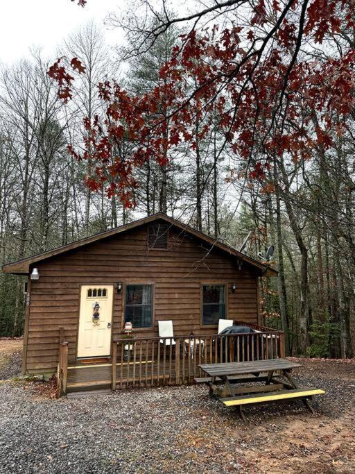 Private Cozy Cabin In The Woods With Great View Мърфи Екстериор снимка